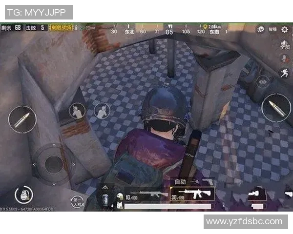 和平精英战术解析RNG战队如何构建整体压制体系与战术优势