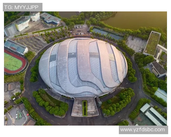 广州极限运动队意识表现的数据分析与研究探讨