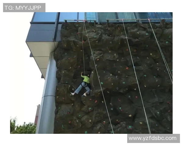 成都攀岩队意识表现的数据分析与提升策略探讨