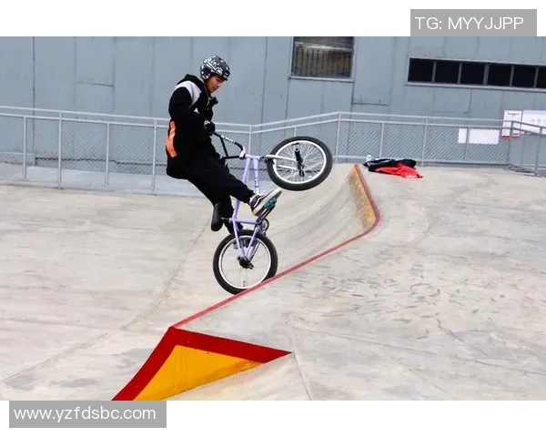 深入分析上海滑板队的战术演变与转换打法的独特魅力