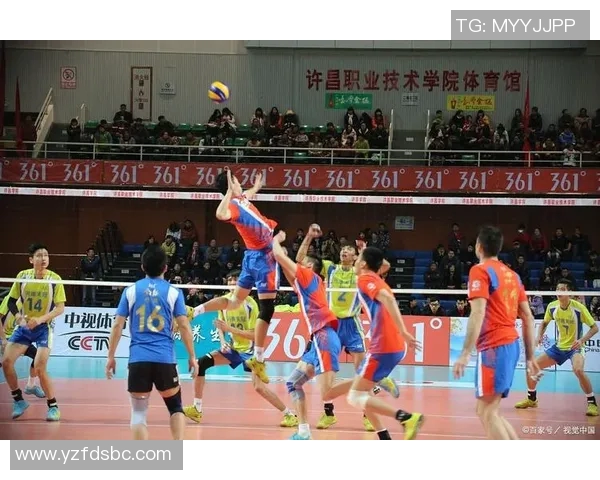 科学排球团队协作训练方法探索与实践提升团队默契与竞技水平