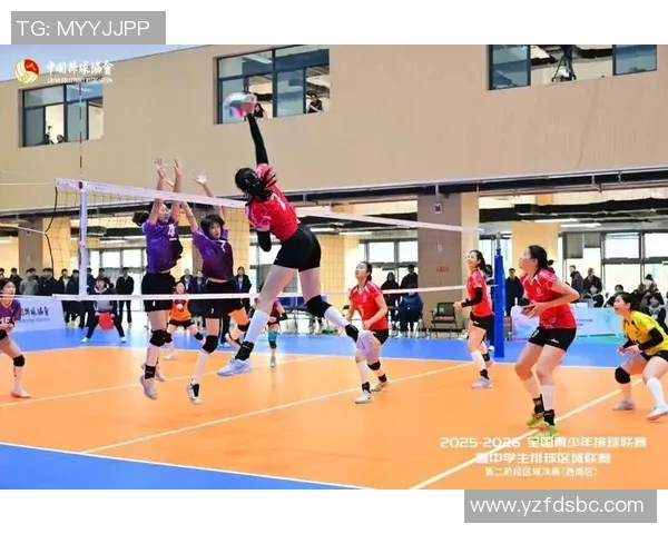 重庆排球队的崛起与发展探秘展现排球运动的无限魅力与力量