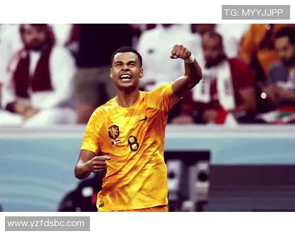 加克波：从天才少年到足球场上的璀璨明星之路解析