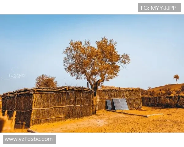 古铁雷斯的传奇人生与不屈精神探秘之旅 古铁雷斯的传奇人生与不屈精神探秘之旅