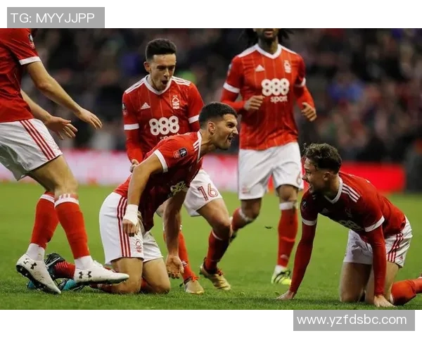 布伦特福德主场迎战布里斯托期待精彩对决与激烈竞争