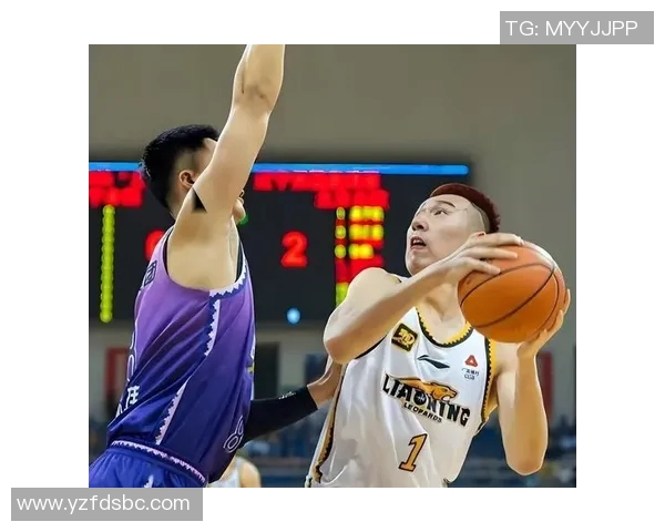 辽宁与北控全场数据分析揭示比赛关键因素与战术对决 辽宁与北控全场数据分析揭示比赛关键因素与战术对决