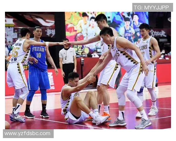 2017年辽宁队与浙江广厦队激战回顾：一场篮球盛宴的精彩瞬间与战术较量