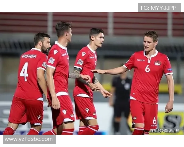 2019年芬兰与列支敦士登足球友谊赛精彩回顾与分析